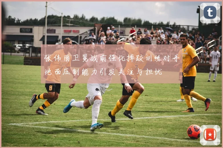张伟丽卫冕战前强化摔跤训练对手地面压制能力引发关注与担忧
